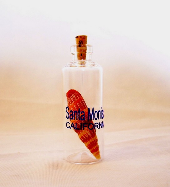 NGH104S Sea Shell in Mini Glass Bottle